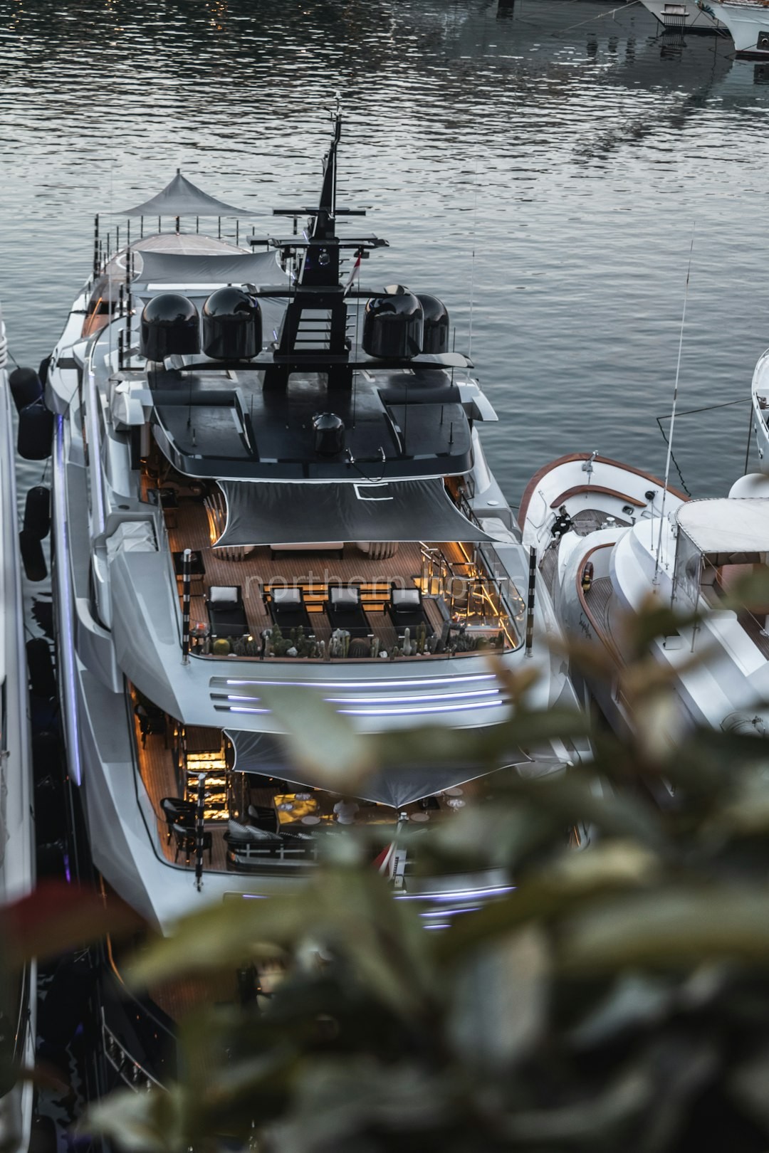 Charter