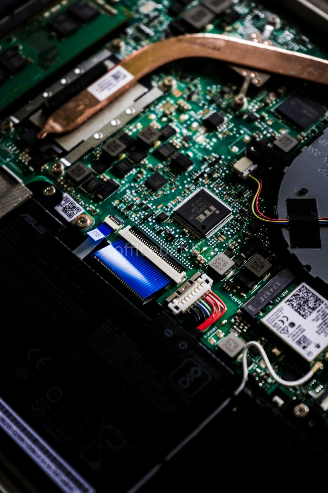 Virus Removal