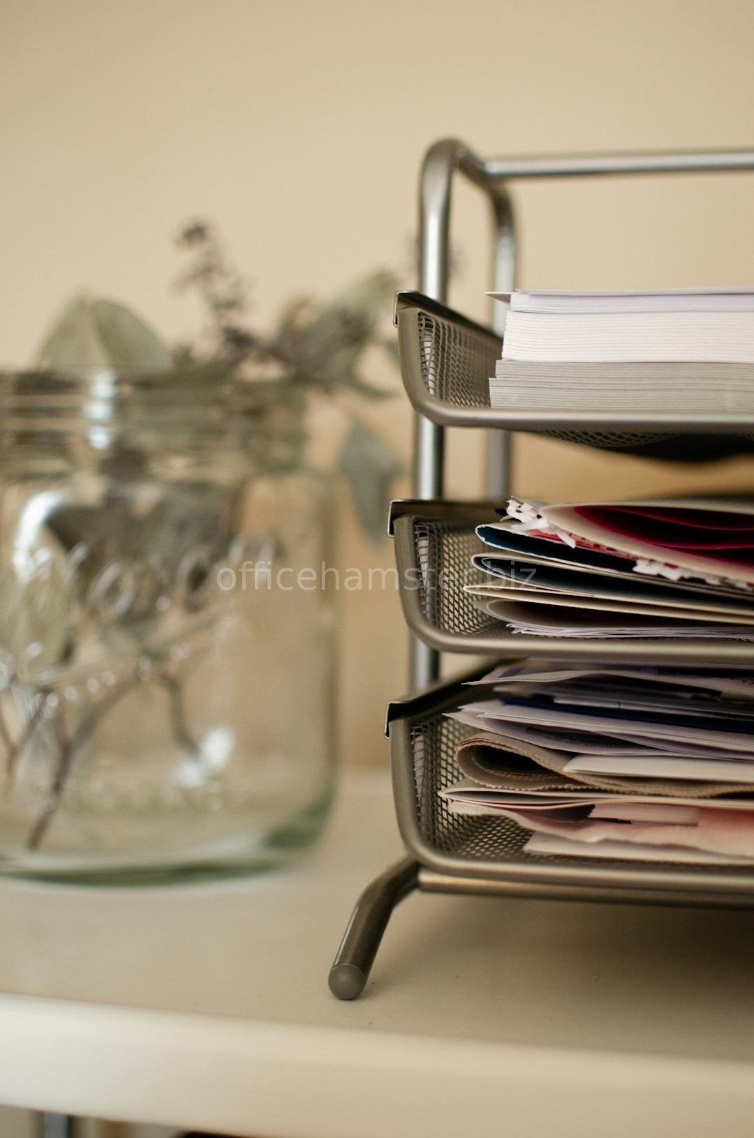 Organization