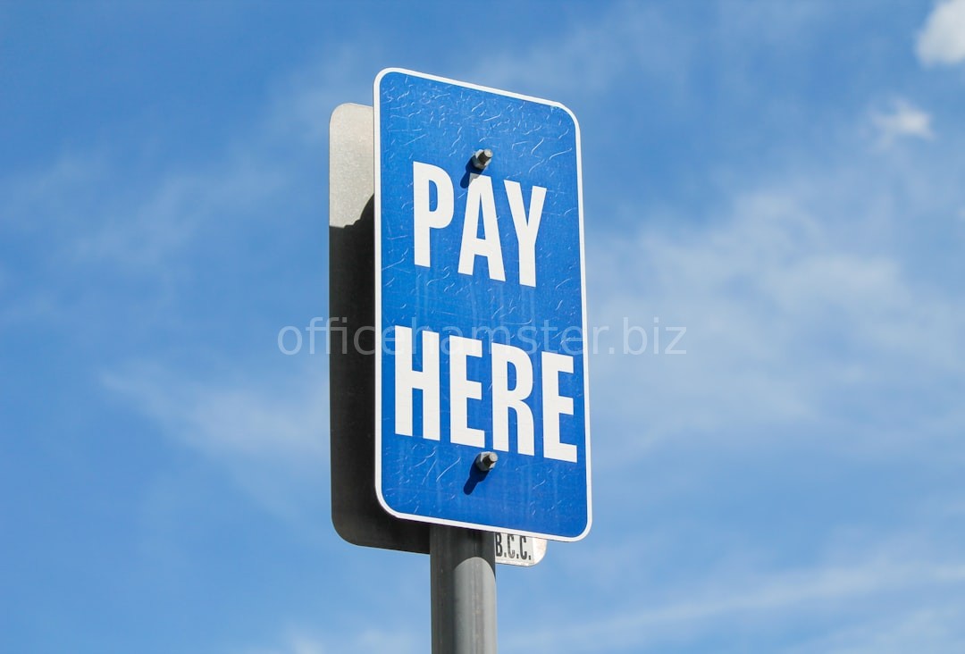 Payroll Professional