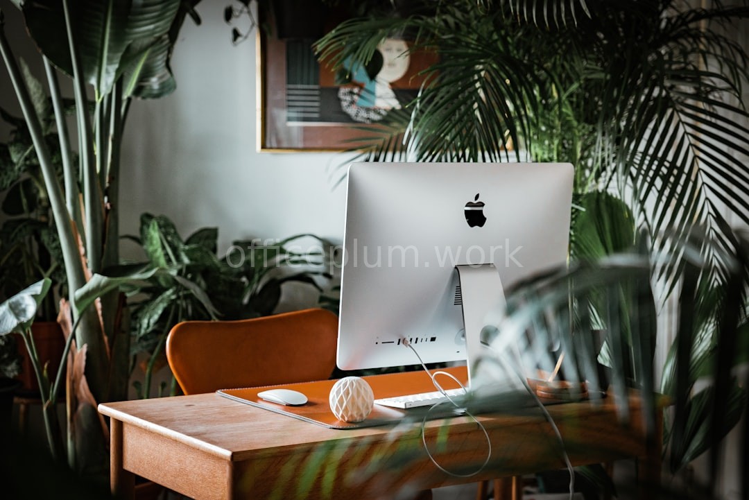 Workspace Curation
