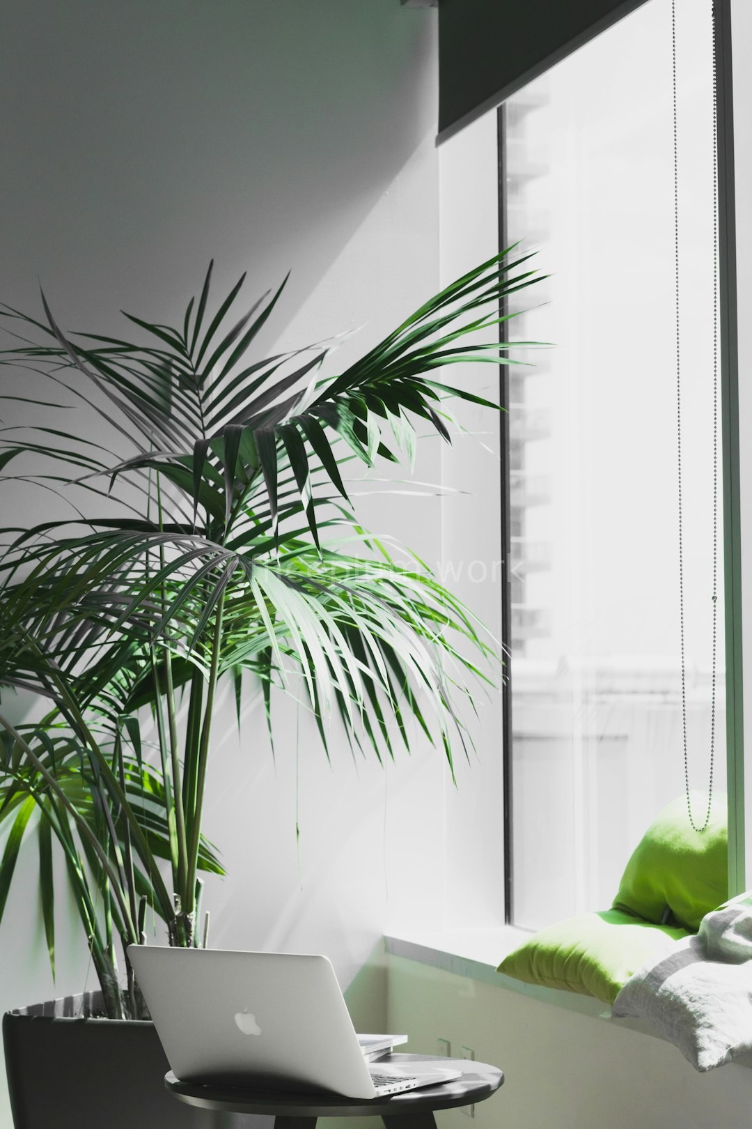 Greenery Consulting