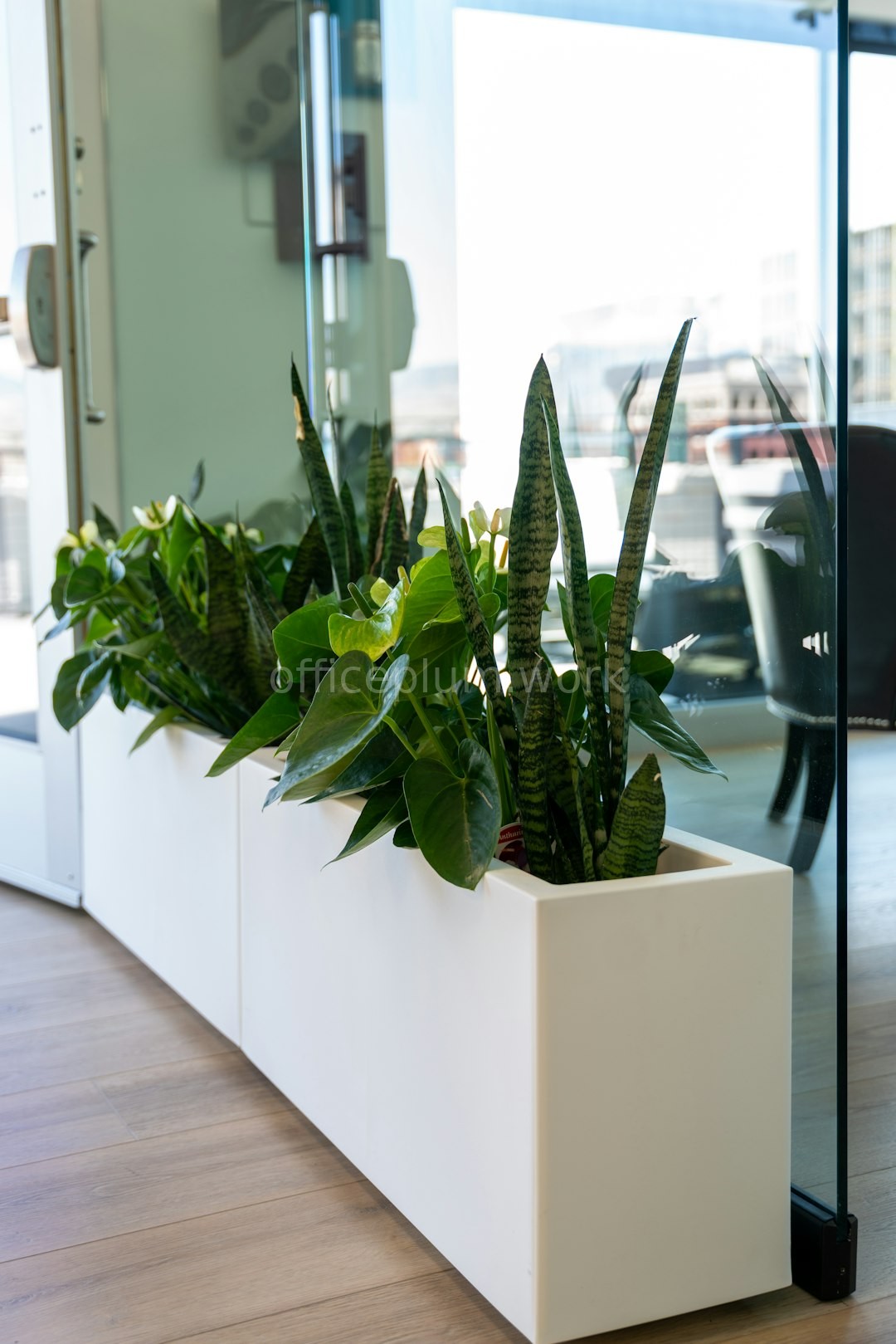 Gallery 2