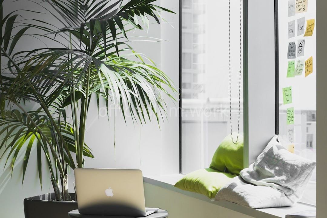 Luxury Office Plants