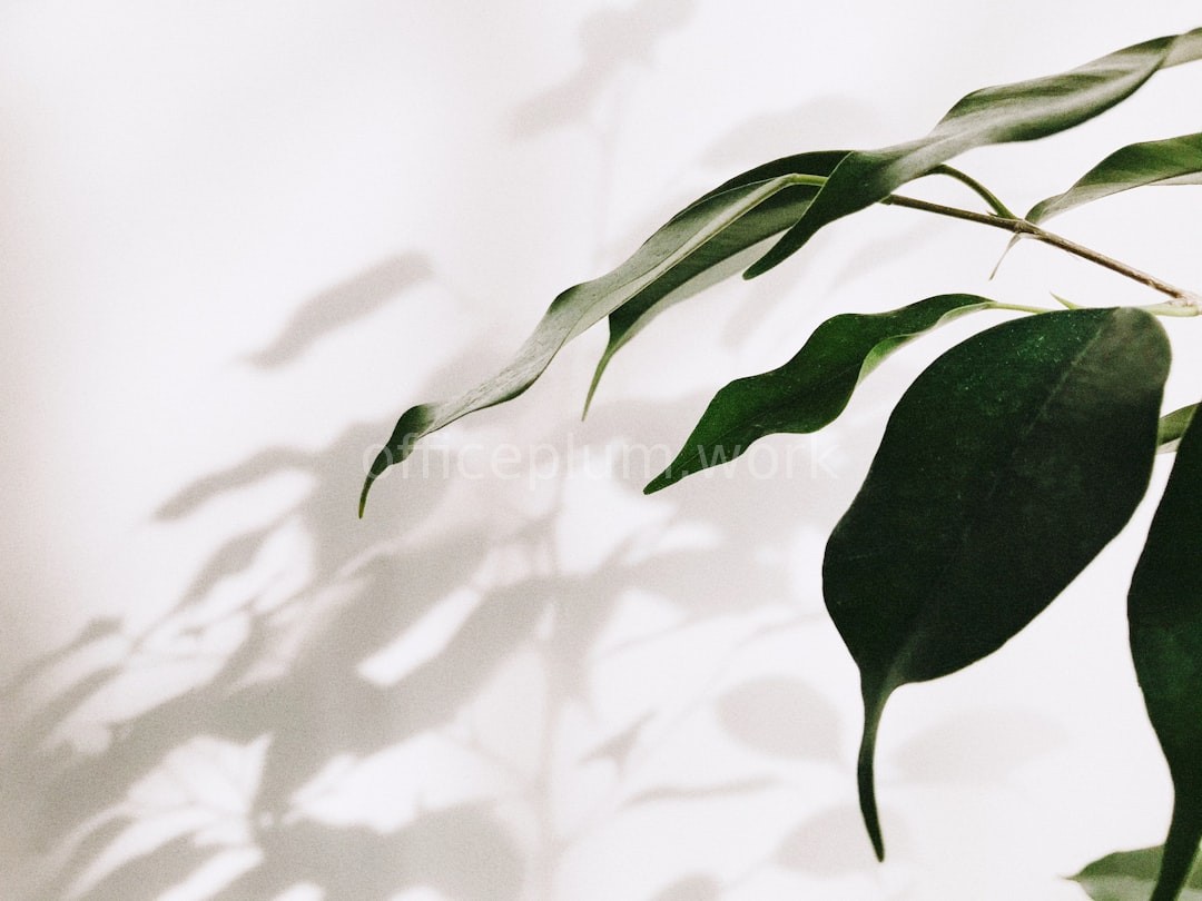 Plant Maintenance