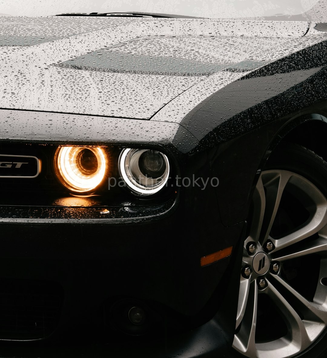Luxury Car Wrap