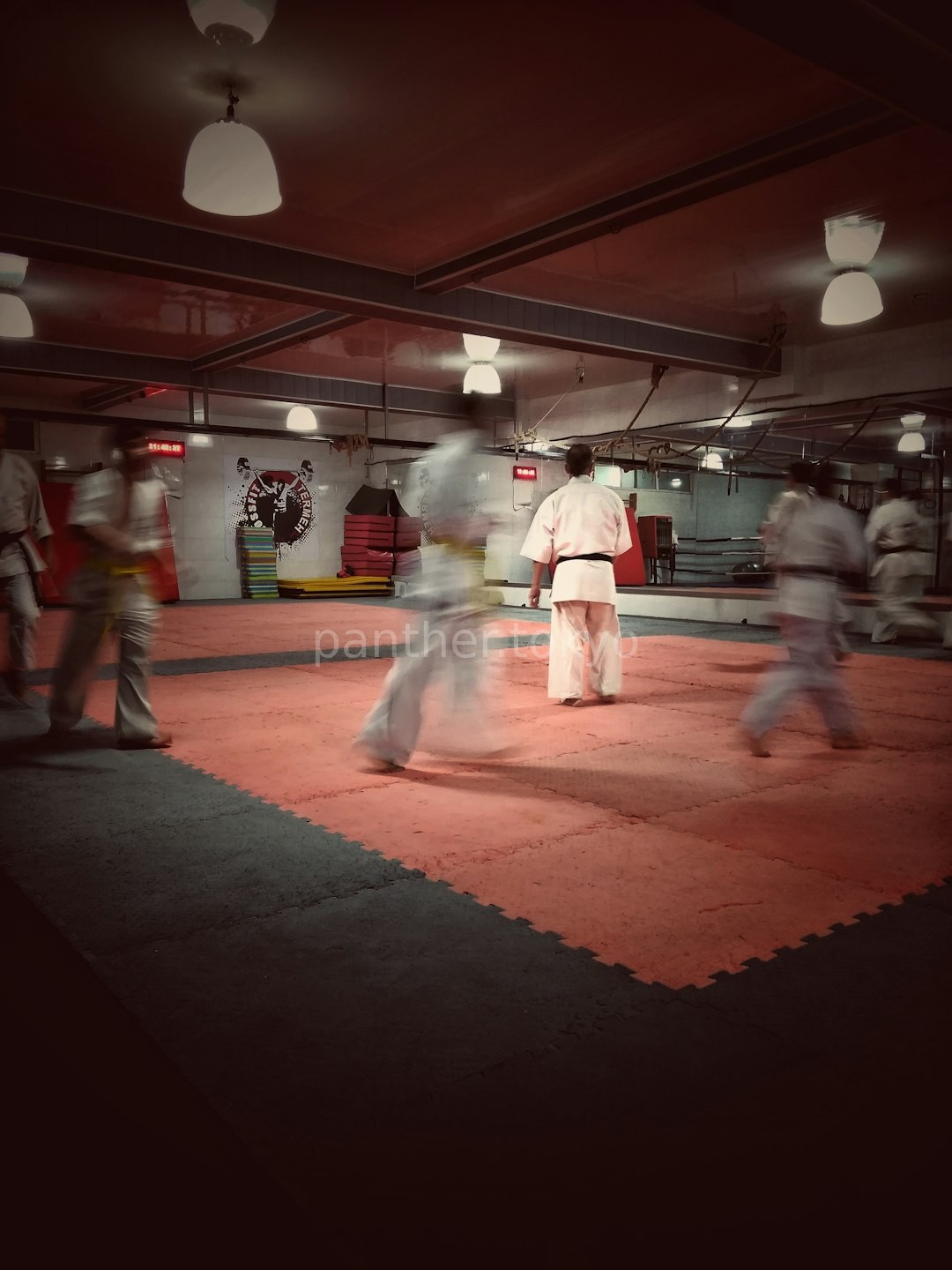 Martial Arts Training