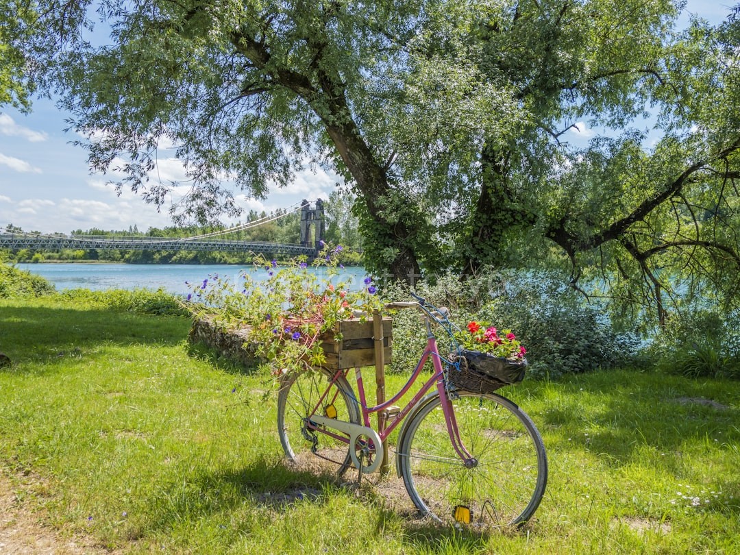 Reel 4