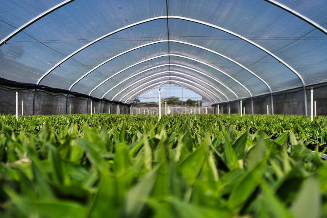 Greenhouse Pod