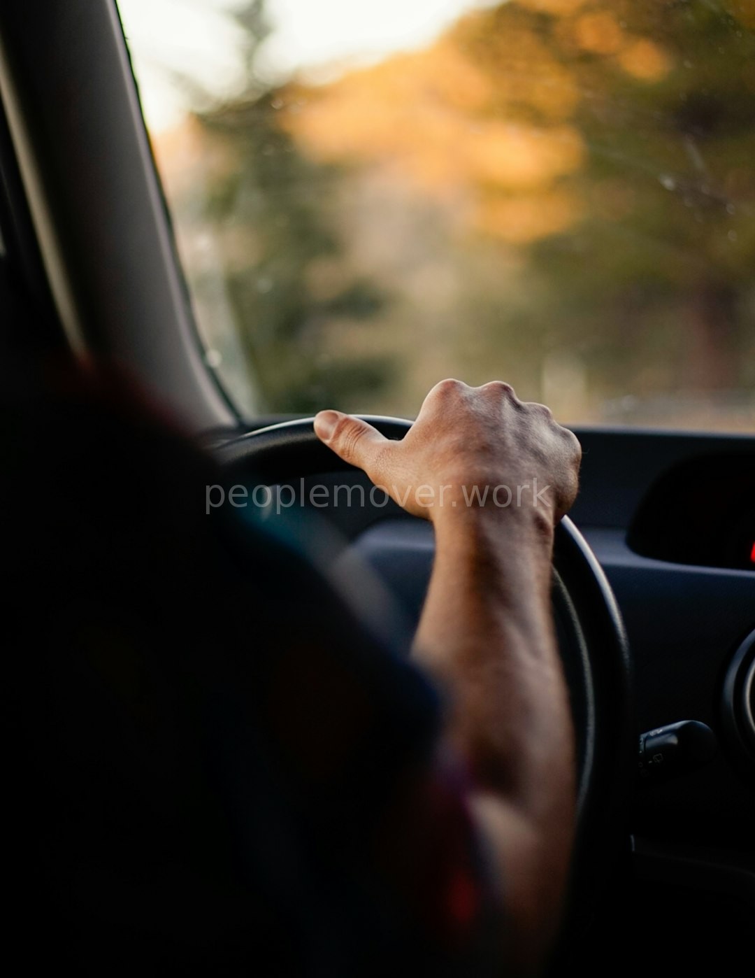 Luxury Chauffeur