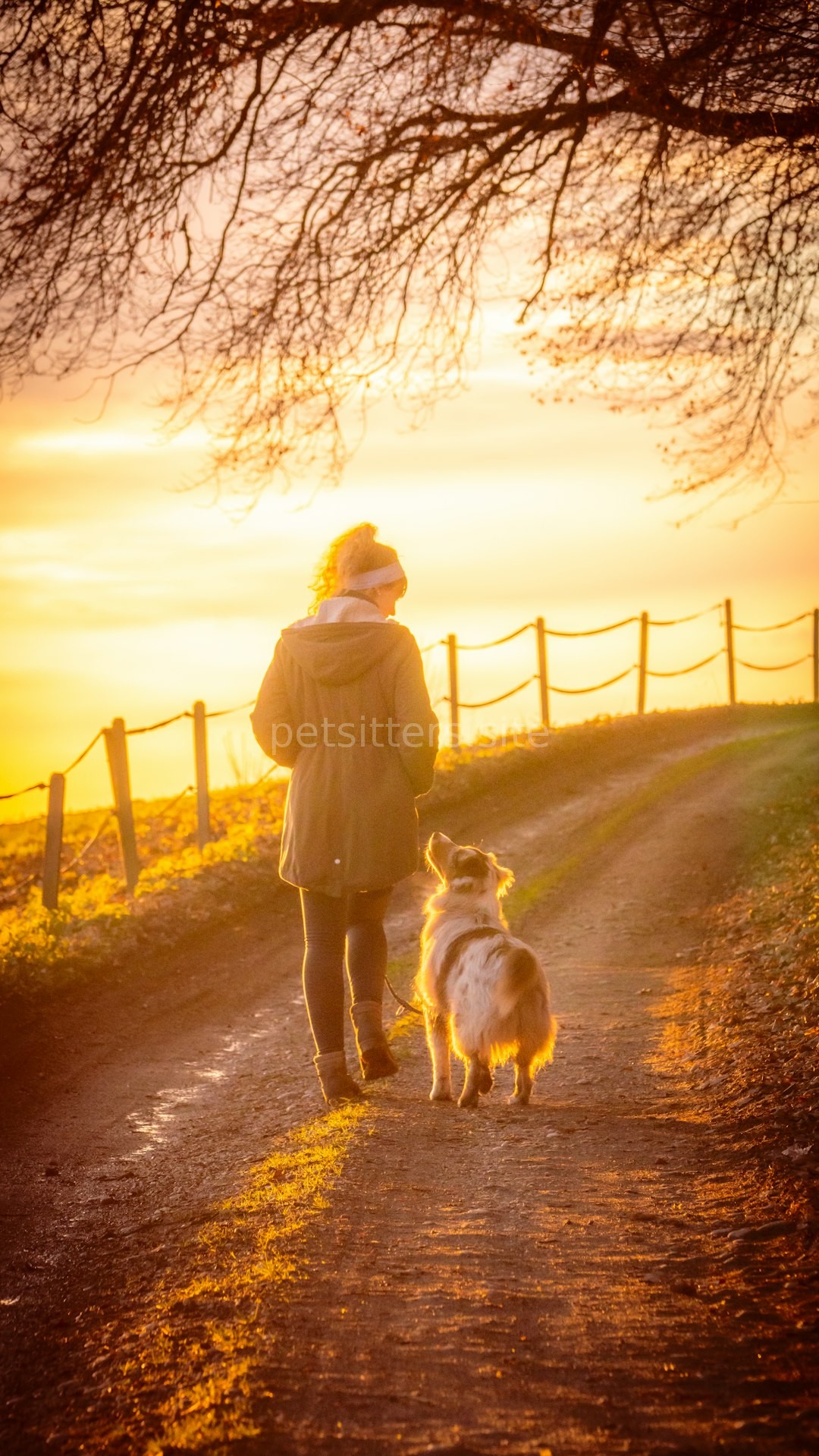 Puppy Care