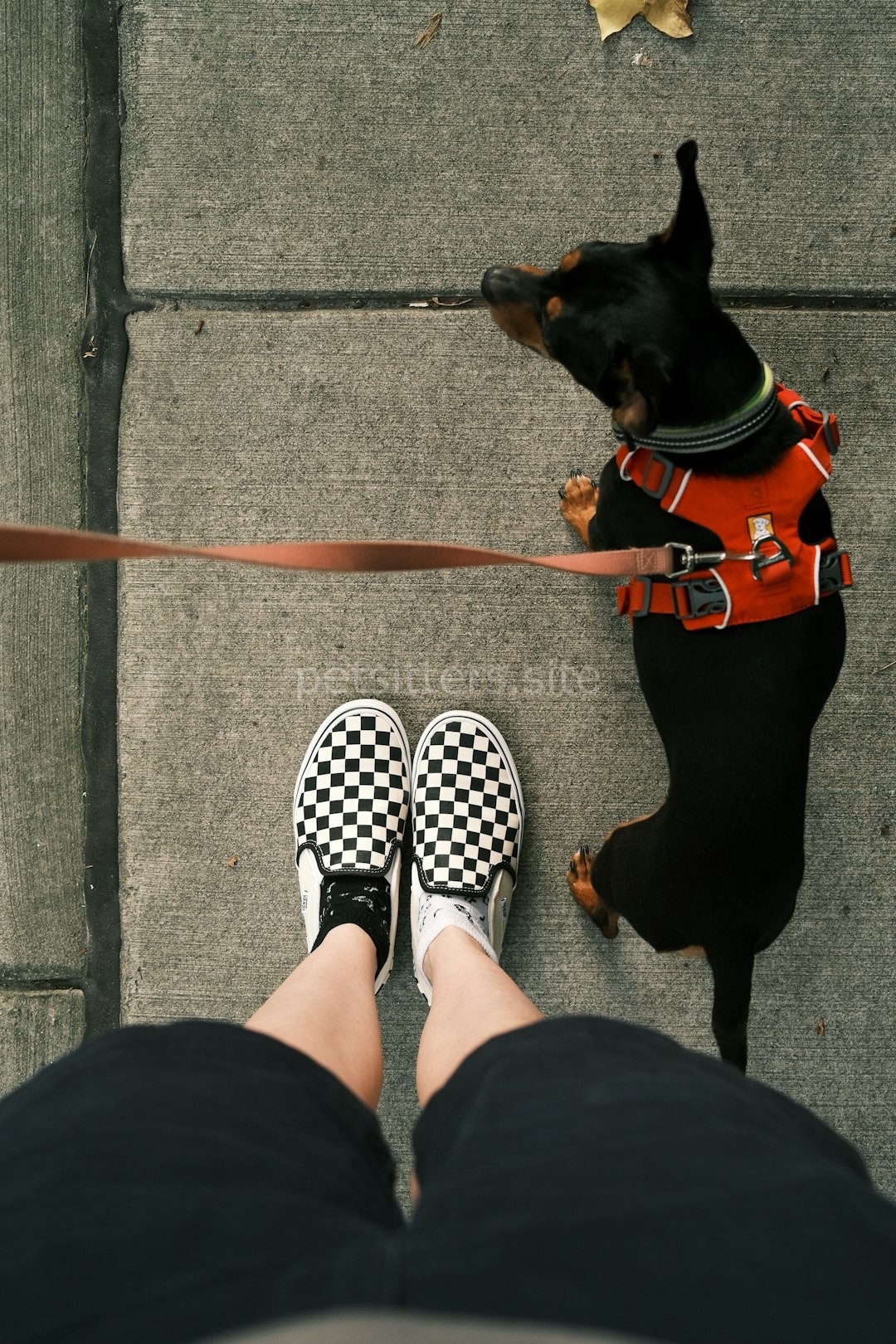 Group Walk
