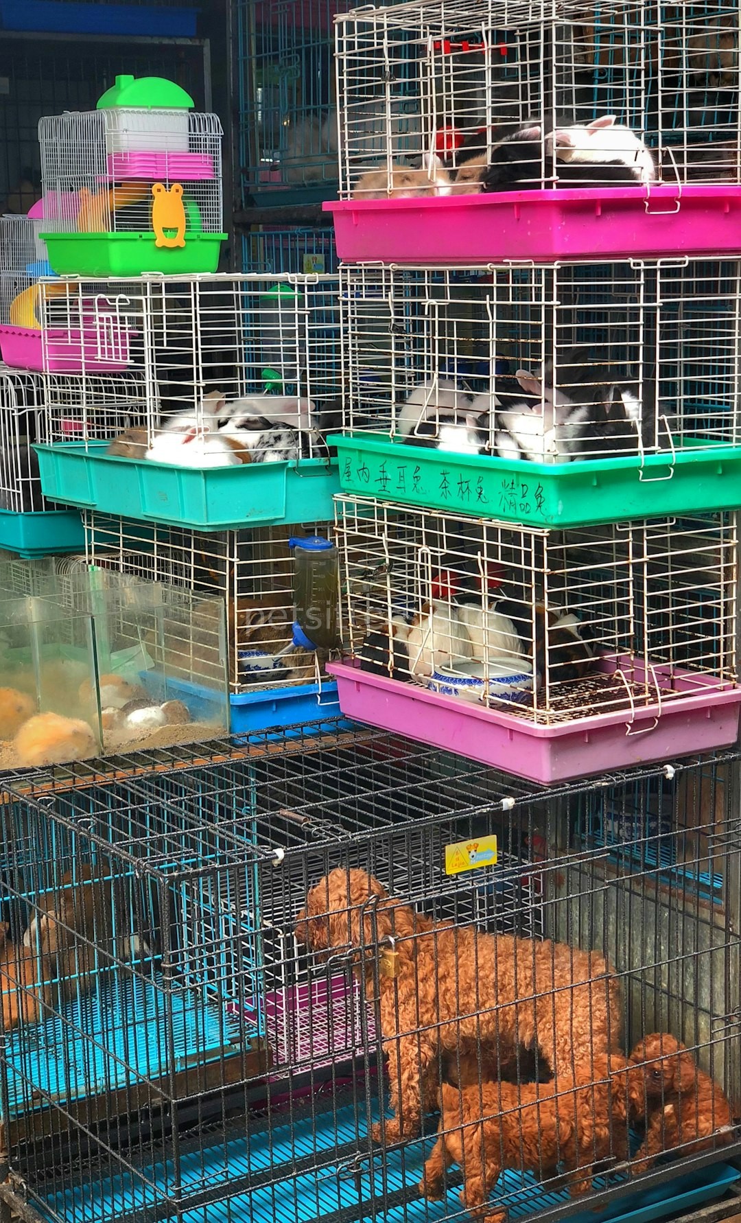Daycare
