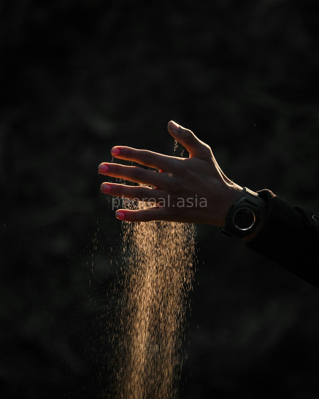 Social Motion