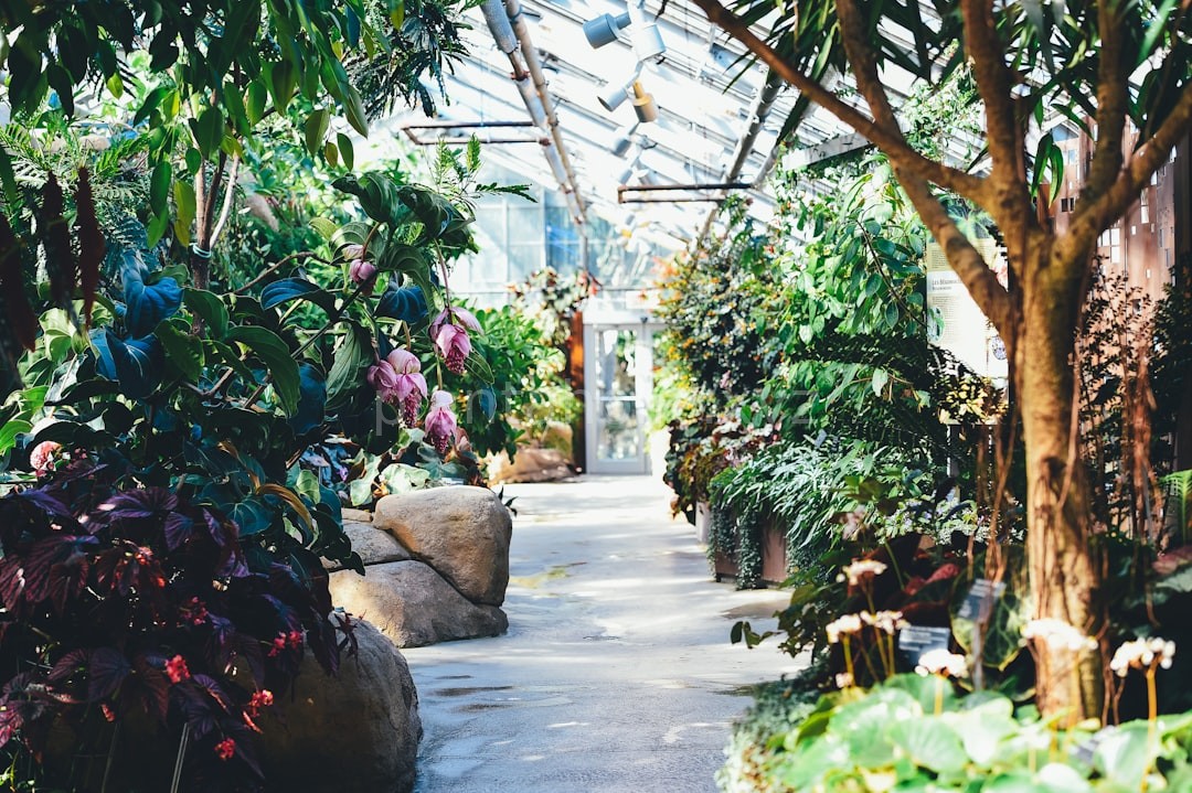 Lush Nursery