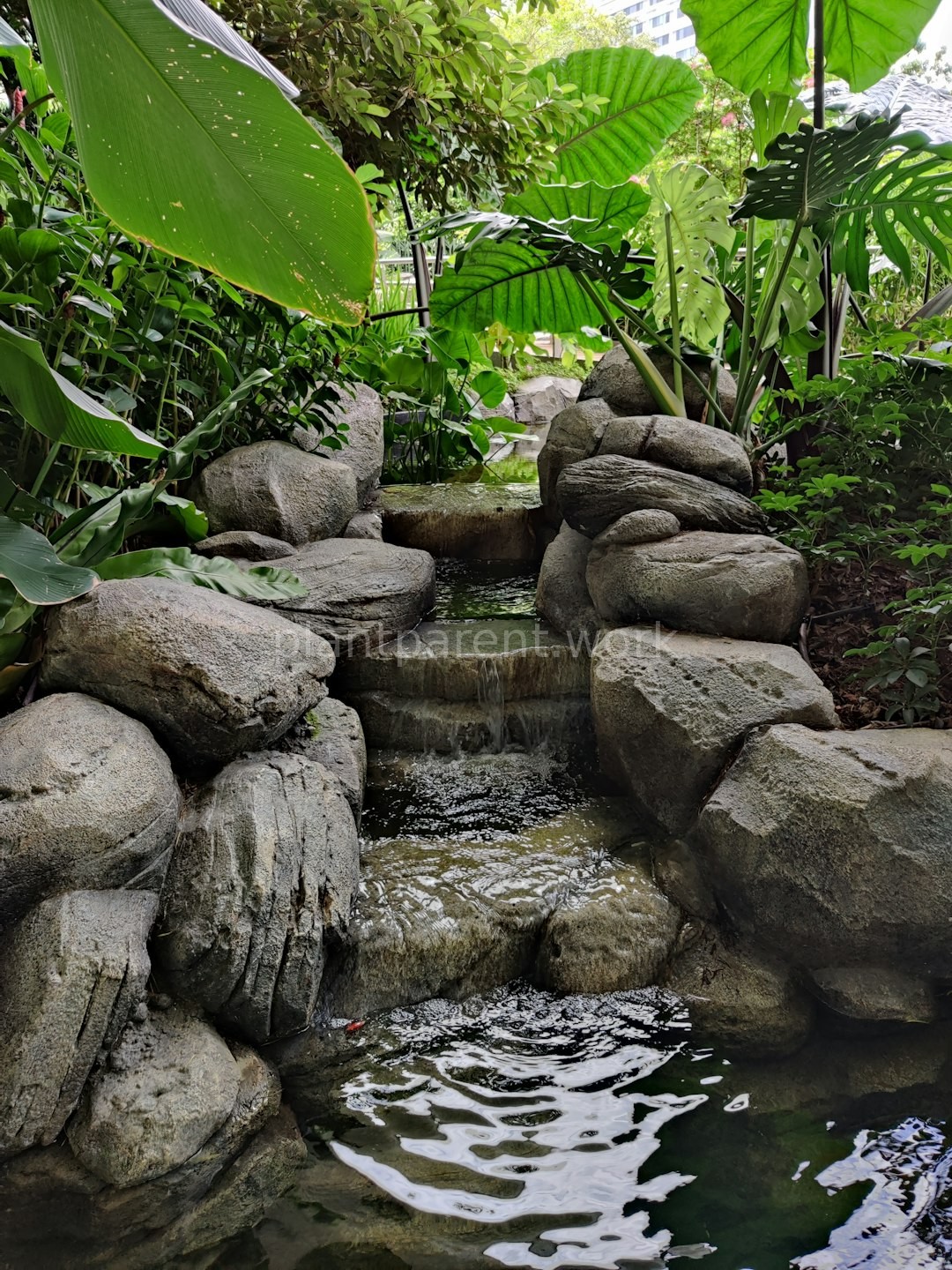 Living Walls