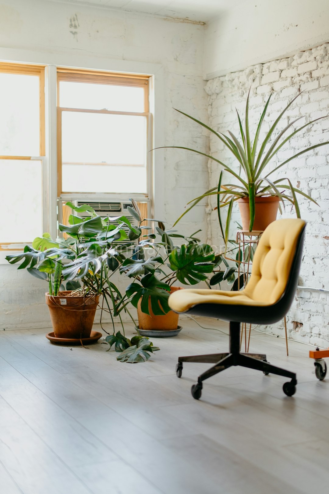 Aesthetic pruning