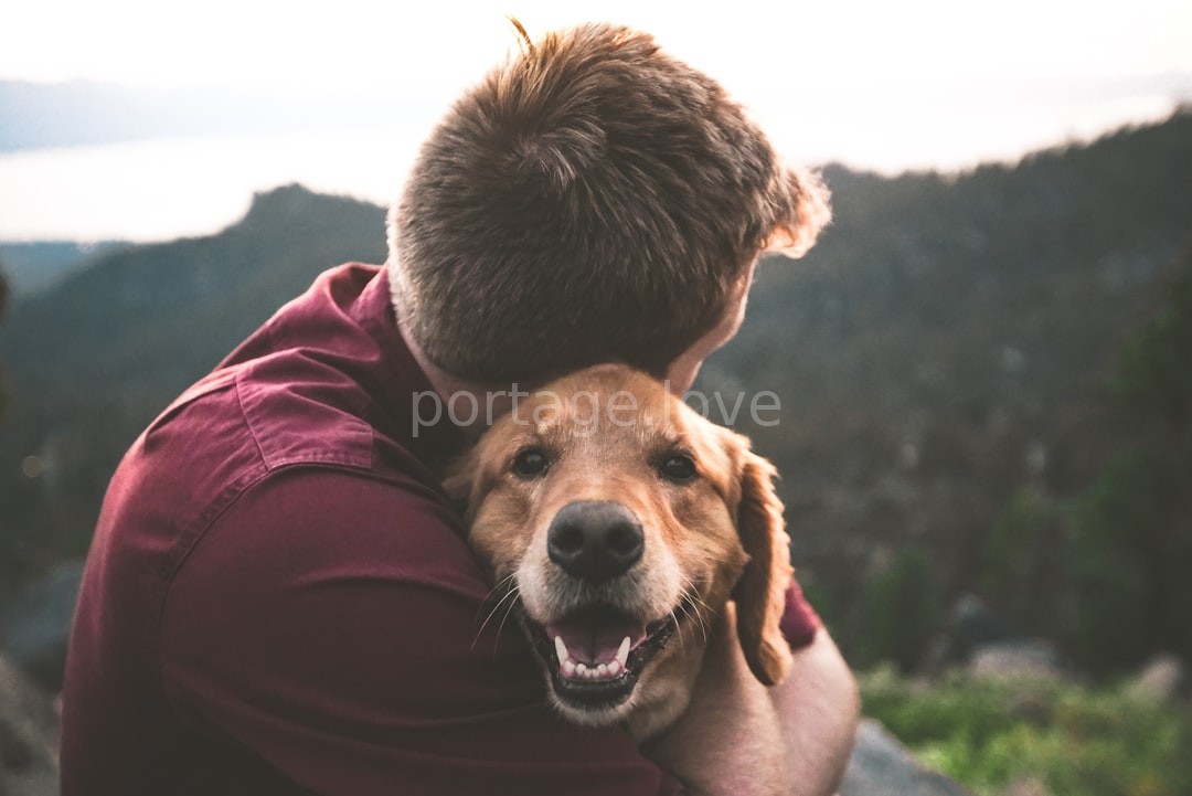 A happy pet