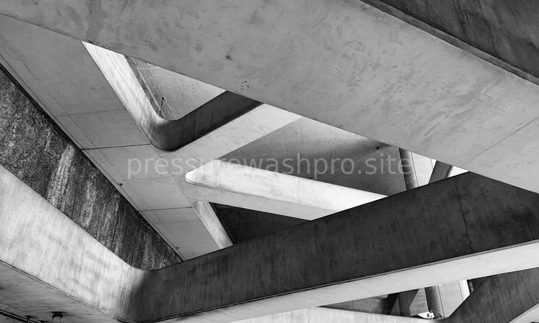 Gallery 1