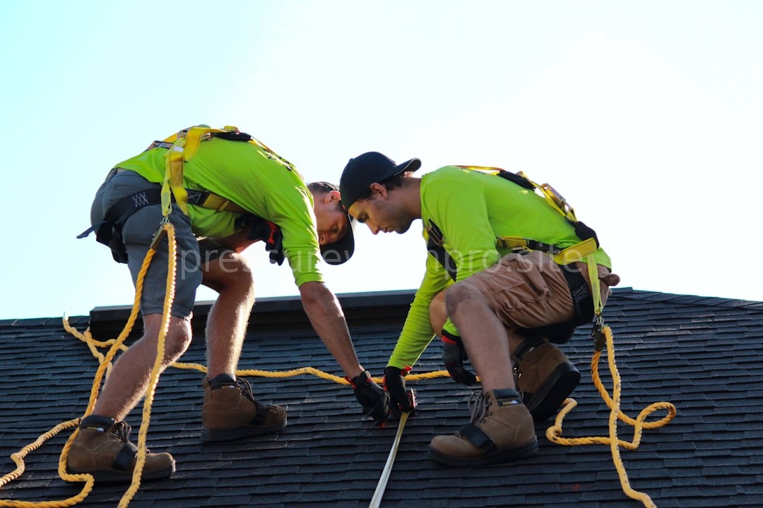 Roof Cleaning