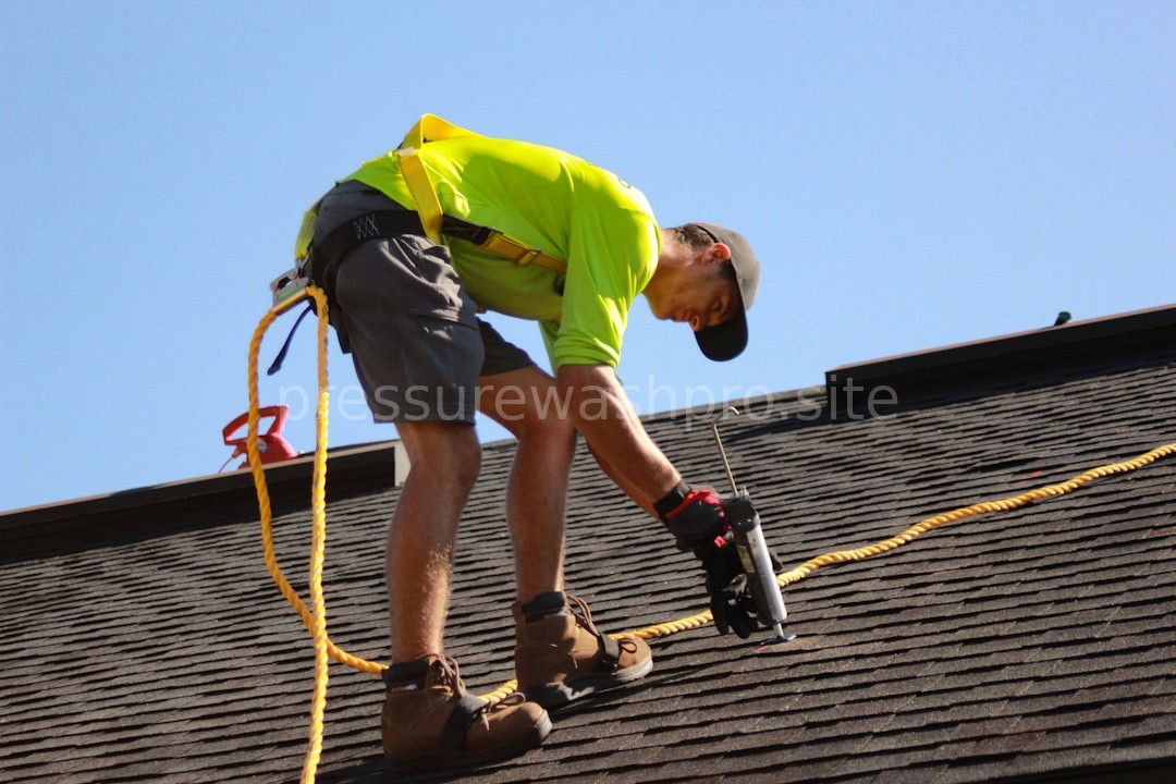 Moss Removal