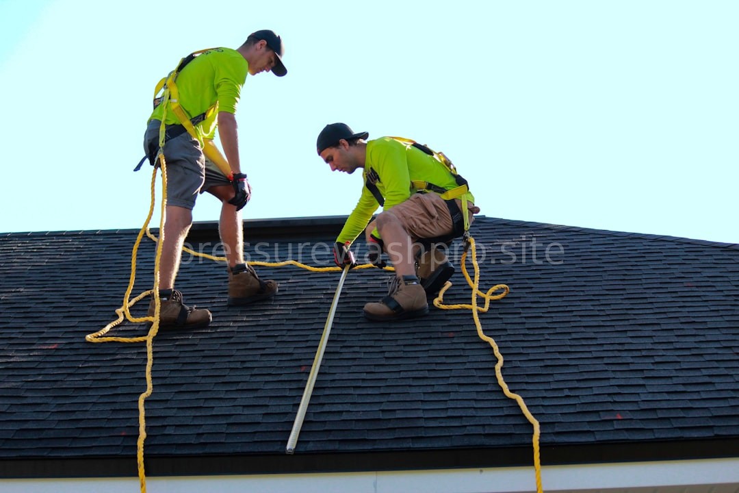Luxury Roofing