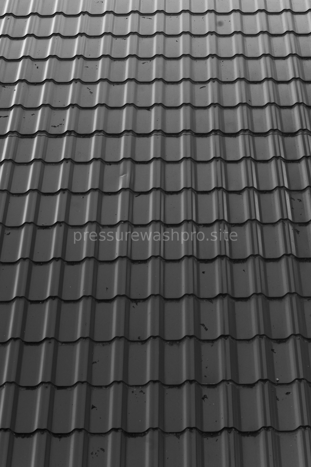 Roof Maintenance