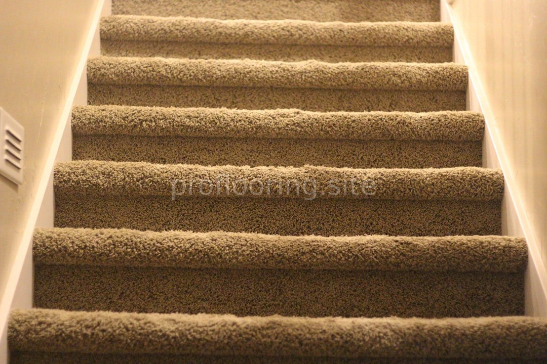 Floor Care