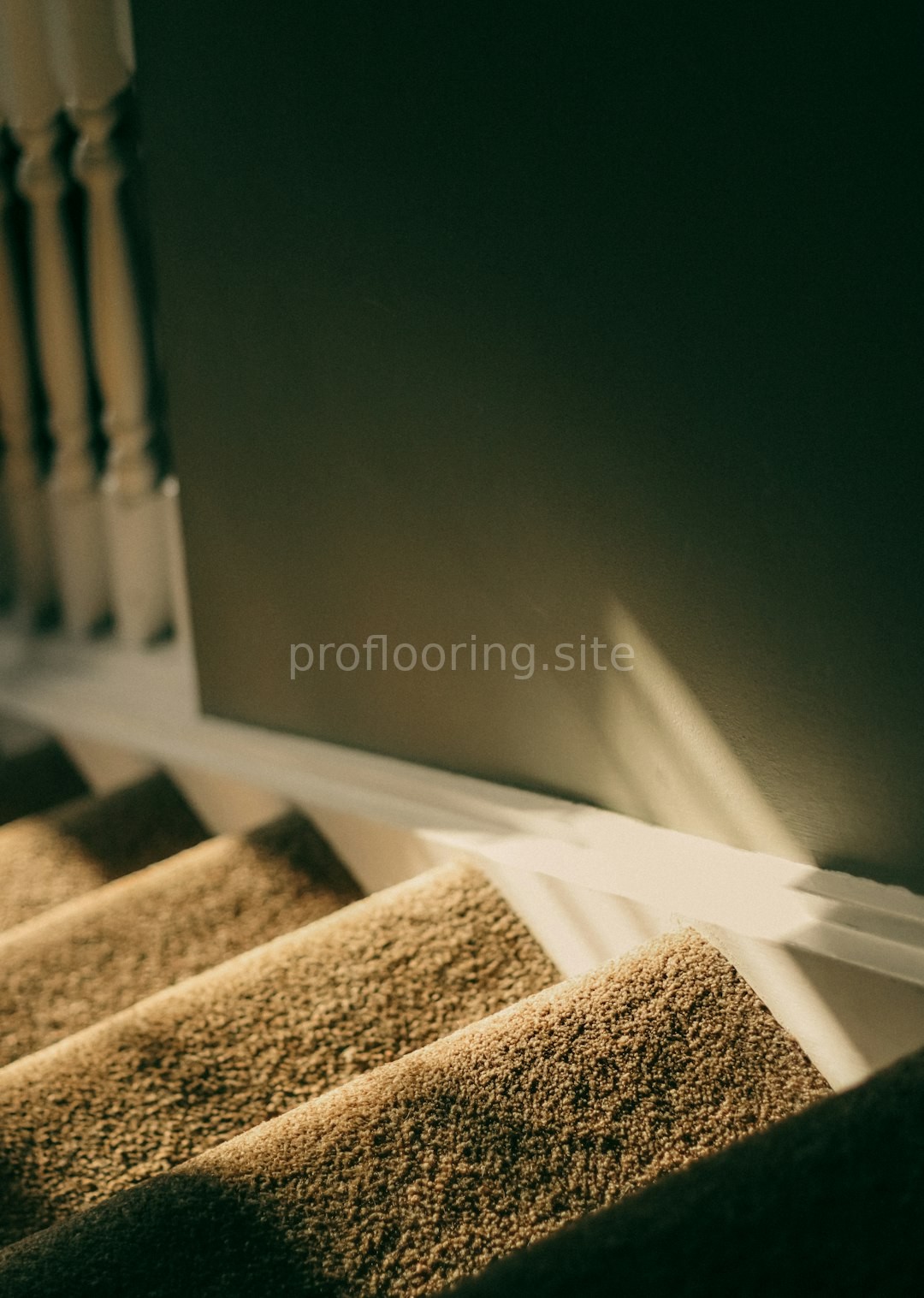Luxury Plank Carpet