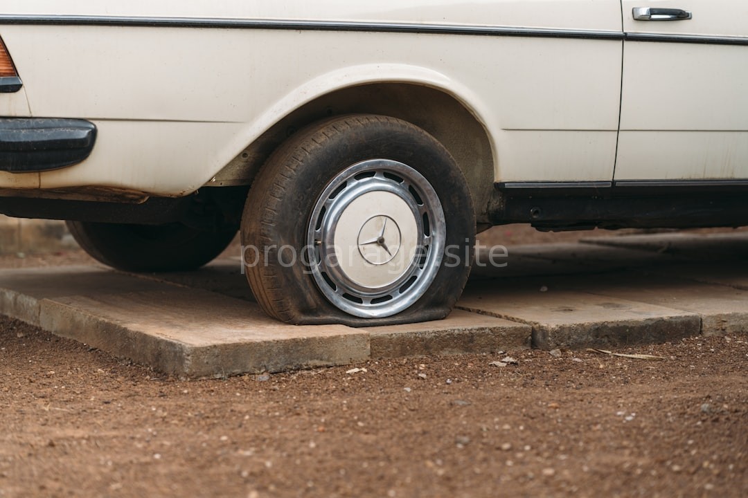 Professional Tire Service