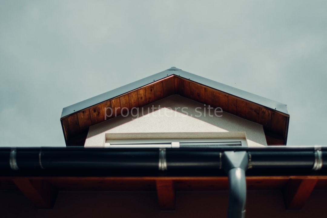 Gutter Cleaning