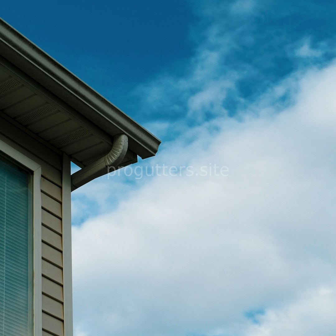 Downspout Testing