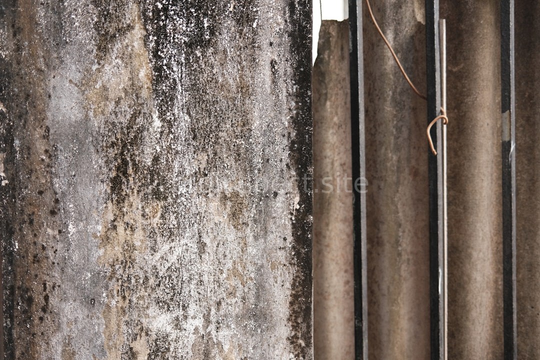 Mold Remediation