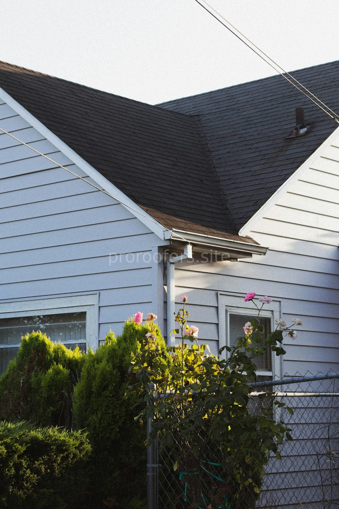 Fiber Cement