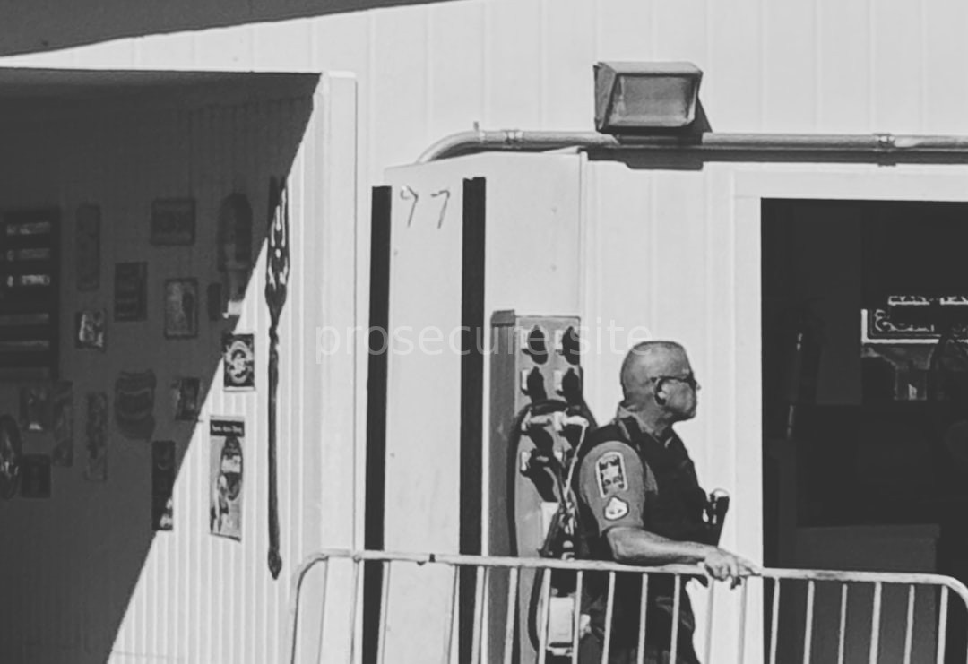 Security Detail