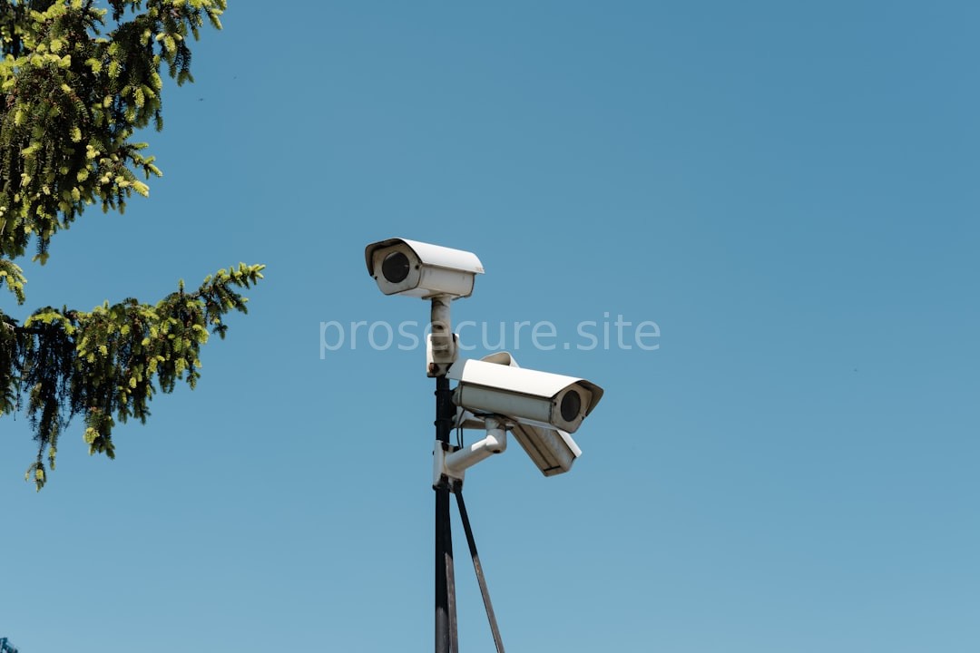 Security Reel 3
