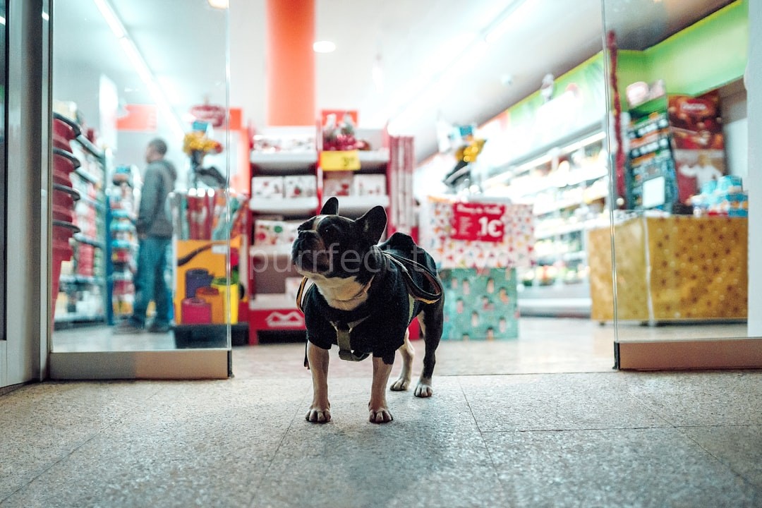Plushies