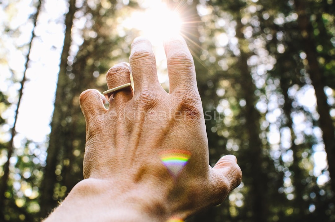 Reel 2