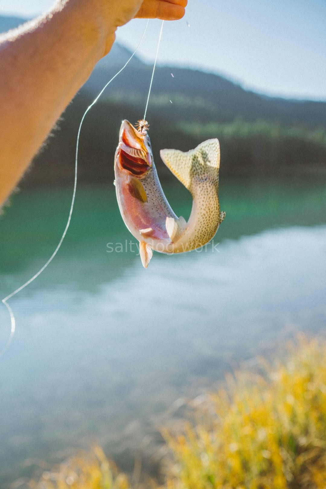Tackle