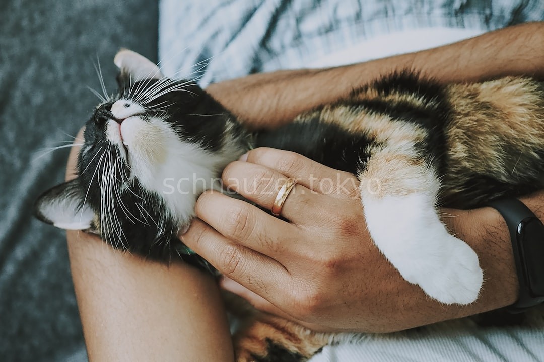 Reel 4
