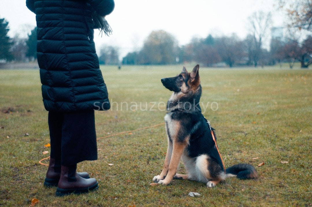 Obedience
