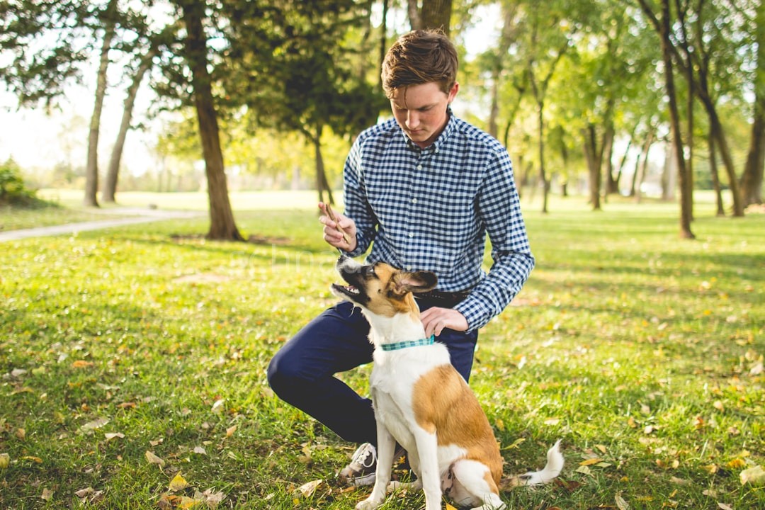 Puppy Training