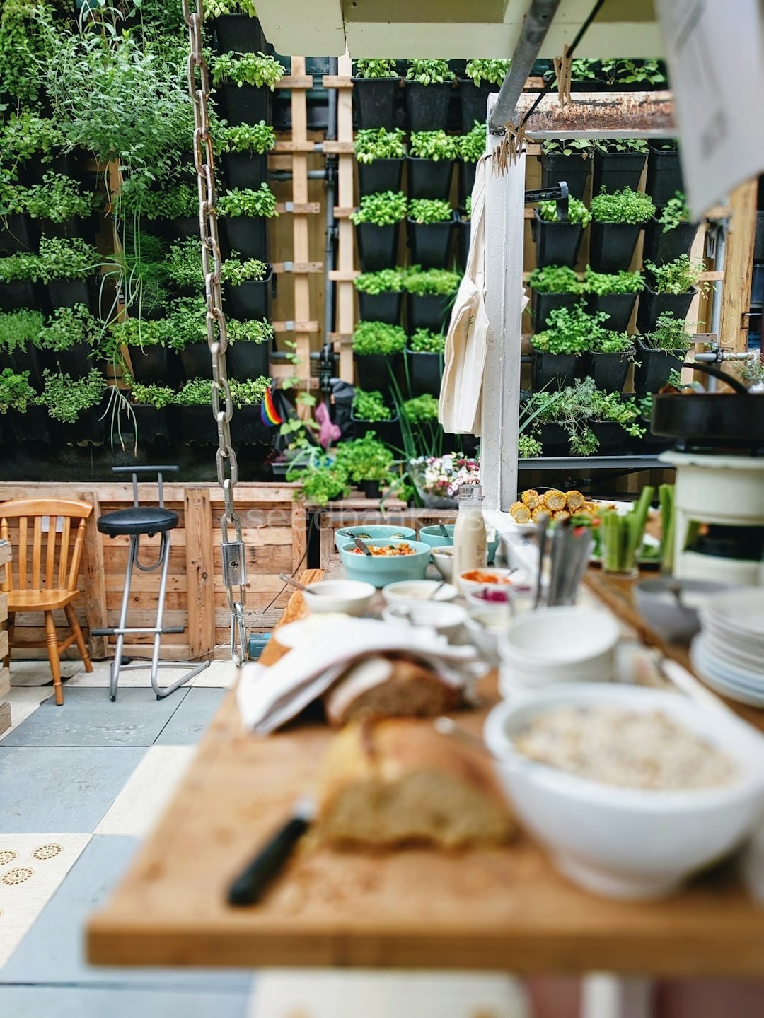Modern Hydroponic Garden