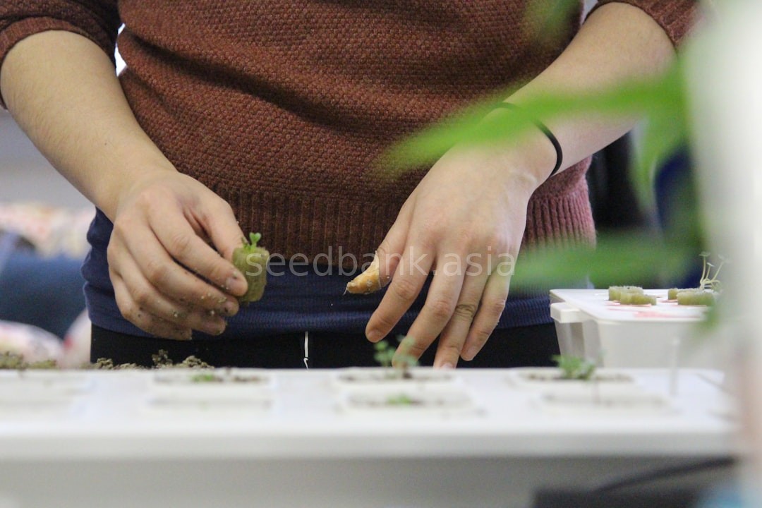 Hydroponic Garden