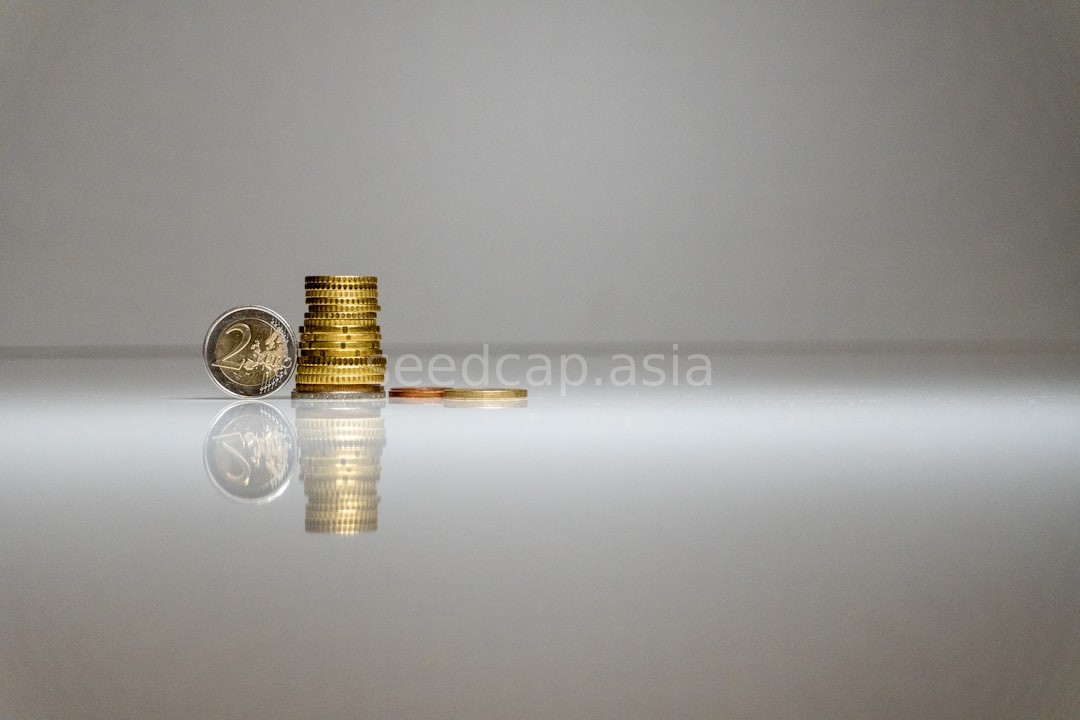 Wealth Strategy