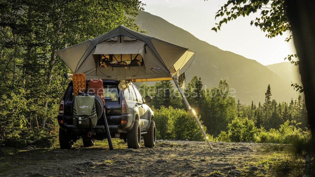 Treehouse Suites