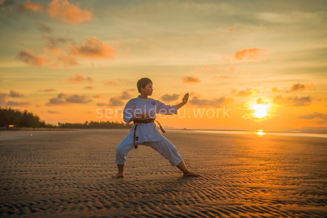 Martial Arts Hero
