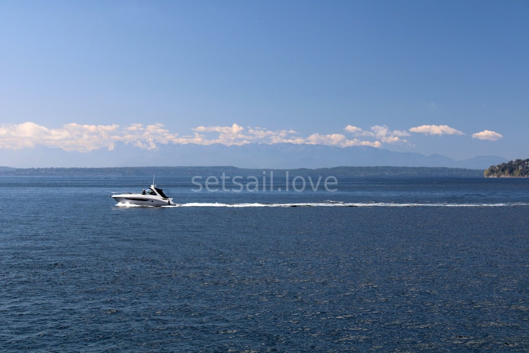 Chartering