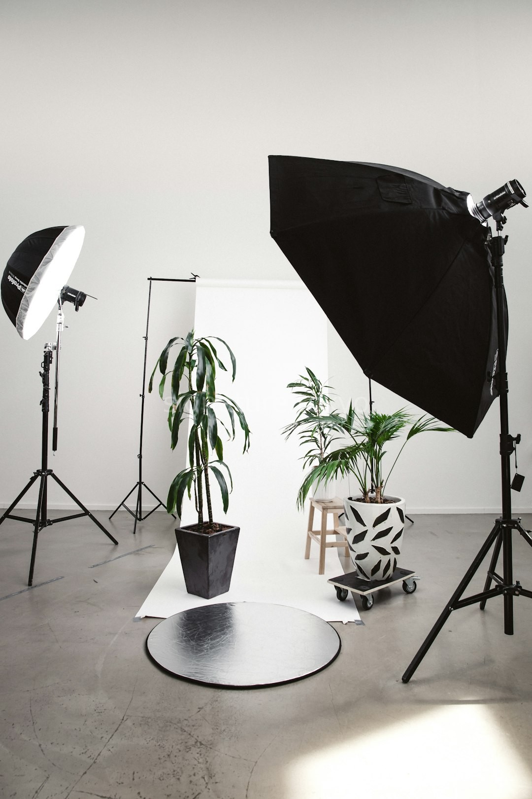 Editorial