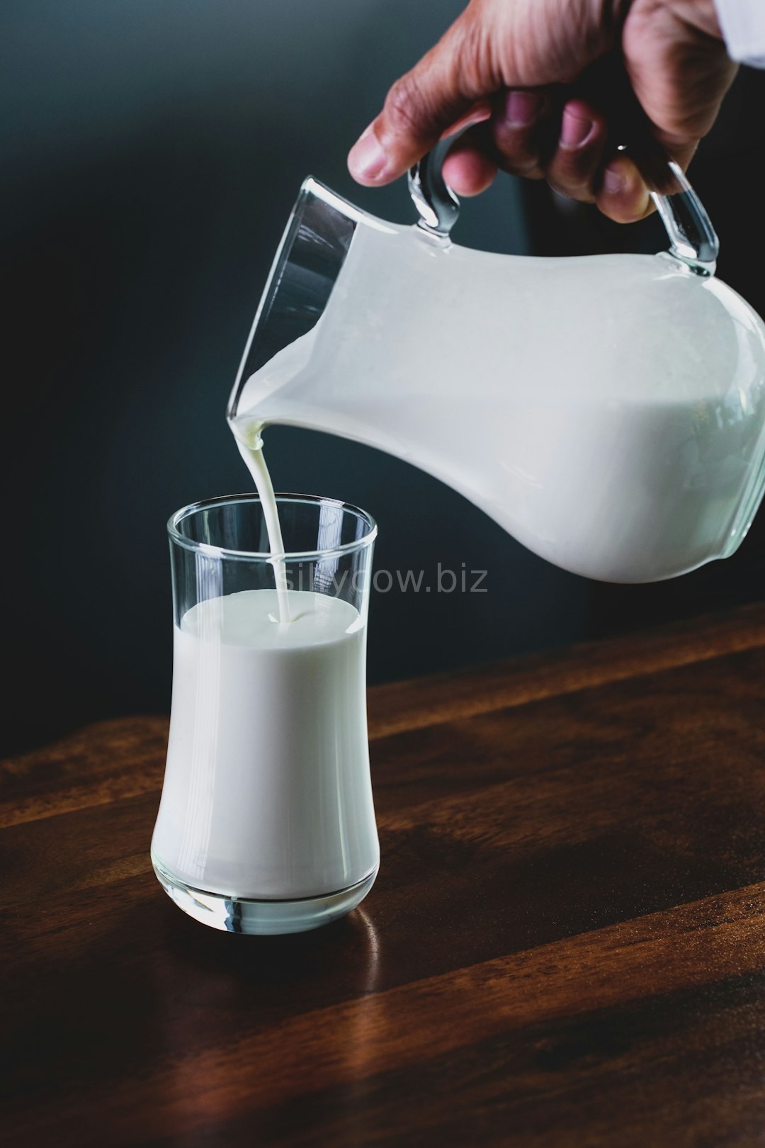 Dairy Hero
